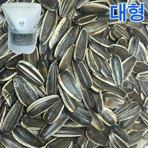 WP 대형 해바라기씨 1kg /앵무새/햄스터/다람쥐 -