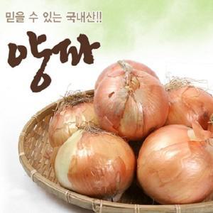 아빠의 마음 25년 햇양파 10kg(특품)