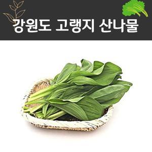 [자연미가] 산마늘 명이나물 생채 1kg/울릉종 잎명이 잎줄기명이 선택구매  강원도 산나물