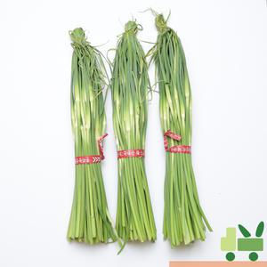 마늘종 (마늘쫑) 4kg