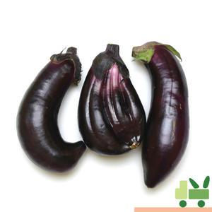가지 2Kg (보통)