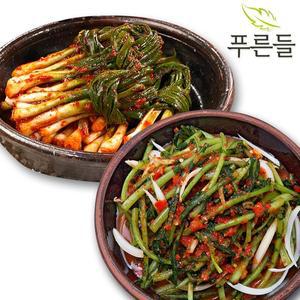 [푸른들판][푸른들] 전라남도 함평김치 / 파김치 1kg + 열무김치 1kg