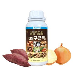 대유 구근빅 500ml 구근 비대제 마늘 양파 감자 고구마 전용 비료 뿌리 영양제