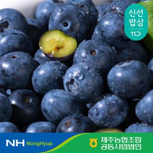 [제주농협] 생 블루베리 600g (100g X 6팩)