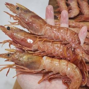 아르헨티나 랍스터새우 킹단새우 2kg