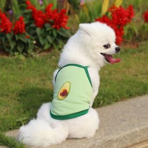 귀여운 아보카도 강아지 고양이 반려동물 애견옷 2XL (WFFTIKZ)