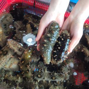 해삼 고노와다 내장 자연산 돌기 생해삼 국내산 거제도 500g 1kg
