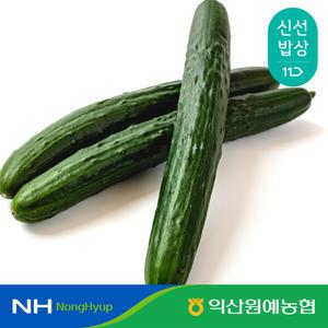 [익산원예농협] 익산 특품 취청오이 3kg (13~17개)