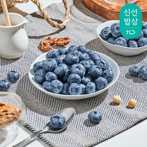 [품질보장] 달콤트리 국내산 블루베리1kg,사이즈선택(18M)
