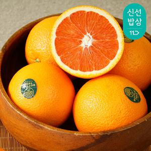 [품질보장]농장에서 직수입한 카라카라 오렌지 중과 2KG/4kg