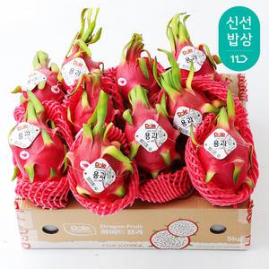 귀족과일 베트남 생 용과 백용과