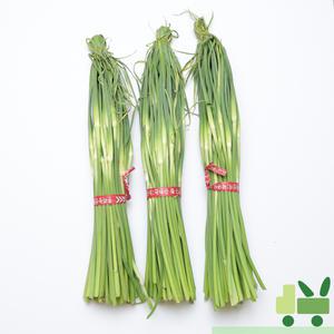 마늘종 (마늘쫑) 1kg