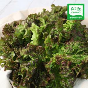[롯데백화점]친환경팔도 충주 유기농 적상추 600g
