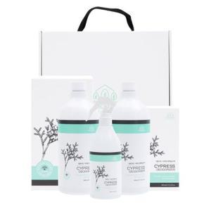 나무앤미 피톤치드 편백잎수액 2L+380ml 선물박스