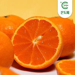 [온도씨]제주 카라향(귤로향) 2.5kg(중과/16-24과내외)