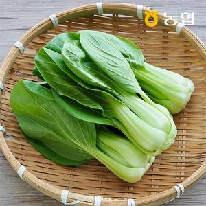 농협선별 신선한 청경채 1kg