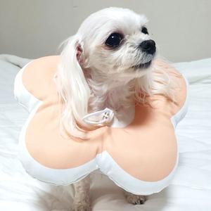 강아지넥카라 애견 쿠션 꼬깔 M 깔때기 핑크 (WFFPW5L)