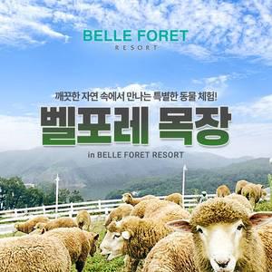 [충북] 벨포레 리조트 목장