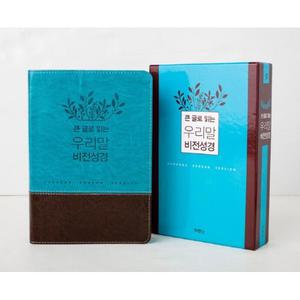 큰글로 읽는 우리말 비전성경(중)(파란색)(무지퍼)