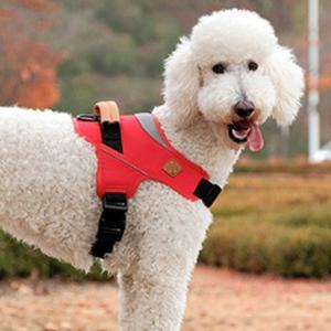 강아지 압력분산 하네스 레드 5XL 1P 산책 가슴줄 (WFH2RPS)