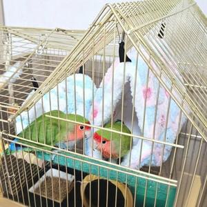 [하프클럽/셀러허브_여성트랜드패션]중 포치 앵무새침대 앵무새 하트둥지