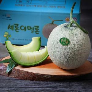 [기타]고당도 멜론 메론 세지농협 세지멜론 정품 3.4kg 이상 (중대과/2수) 실중량