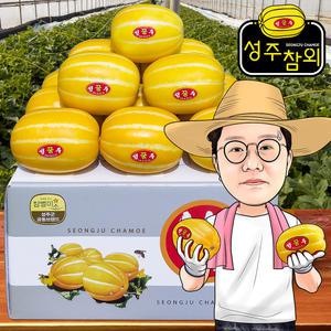프레시왕 성주 꿀 참외 가정용 중과 4.5kg
