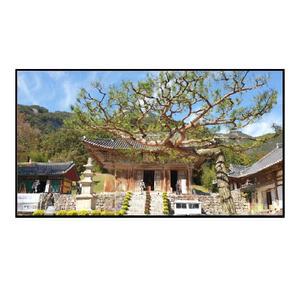 삼성전자 네오QLED KQ55QNF90AFXKR 풀모션 슬림핏 벽걸이형(전국삼성물류설치)
