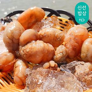 마산 진동 당일바리 제철 오만둥이 (오만디) 500g X 3개 (총 1.5kg)