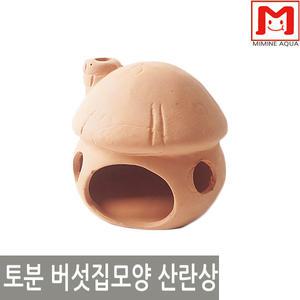 토분 버섯집모양 산란상