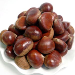 알밤 (대) 1kg 2024년 햇밤 국내산 군밤용 밤 생밤 (칼집X) 쪽빛누리