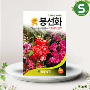 봉선화씨앗 봉숭아씨앗 100립 꽃씨