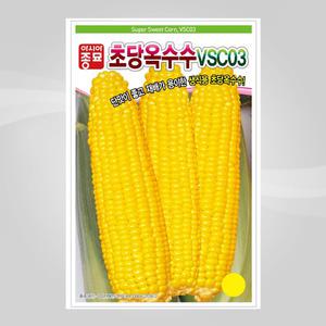 슬로시 아시아종묘 초당옥수수 씨앗 100립