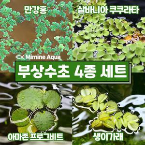 둥둥 수조 위 뜨는 부상 수초 키우기 4종 세트(SET20)