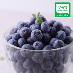 갤러리아 [맛딜]국내산 무농약 블루베리 생과(특대) 1kg/200gx5