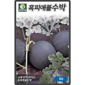 다농 흑피애플수박 씨앗 5립 흑피 애플수박씨 종자