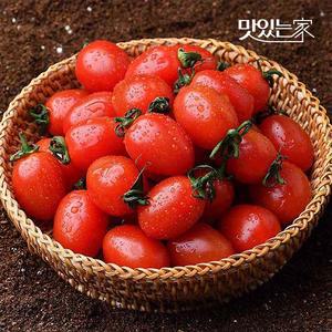 자연맛남 달콤한 대추방울토마토 2kg  1-3번과)
