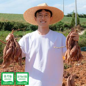 시골다리 유기농 고구마 영암 꿀고구마 밤고구마 세척 베니하루카 3kg 5kg