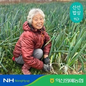 [익산원예농협] 국내산 당일수확 당일작업 익산 흙대파 1단 (2kg내외)