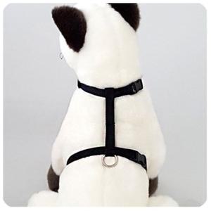 GM 프리독 고양이 몸통줄 세트(블랙) 10mm (WFFRO9A)