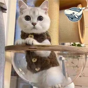 겨울 따뜻한 고양이 후리스 조끼 포근한 강아지 (WFGQCZA)