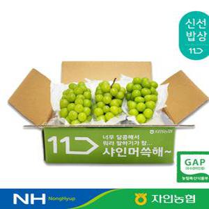 아삭아삭 식감 고급스럽ㄴ 포도 샤인머스캣 1.5kg 2kg