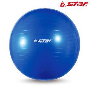 [JHQRMT5P_4B]짐볼 55cm 마사지짐볼 (블루)