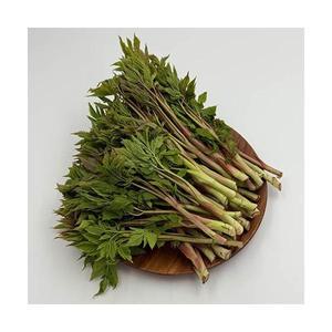 신선한 국산 눈개승마 나물 능개승마 산나물 1kg