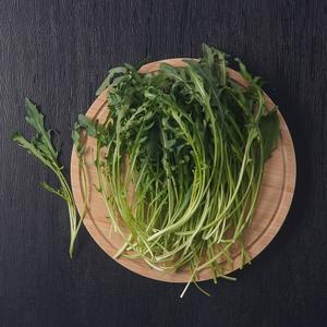 [새벽배송][우리가락]와일드루꼴라 250g