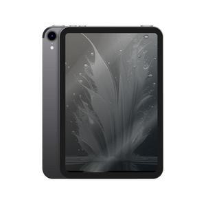 Apple 아이패드 미니 7세대 스페이스그레이 256GB, WiFi+셀룰러 (MXPT3KH/A) 국내정품