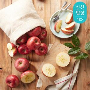 입안과즙가득 경북 빨간 사과 4kg 23~25과외/부사/홍로 랜덤발송