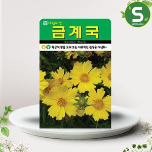 금계국씨앗 500립 금계국 꽃씨앗 꽃씨 야생화