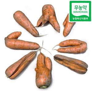 2025년 여름당근 친환경인증 무농약 흙당근 못난이 햇당근 즙용 10kg