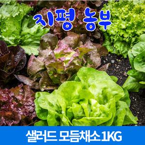 [물맑은 양평]지평농부 샐러드 모듬채소1kg